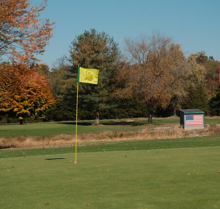 The 3 Flag